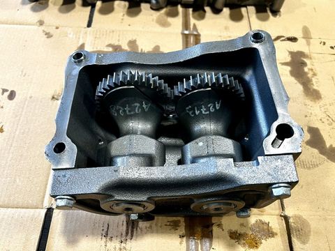 [3244-3983616-0.jpg]