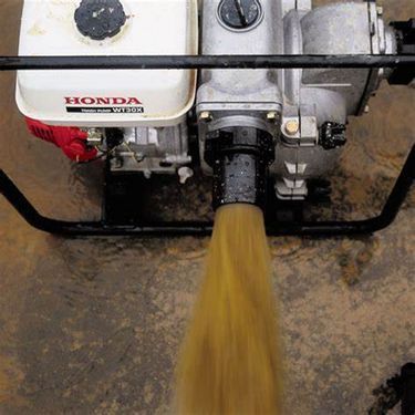 [3244-4218015-0.jpg]