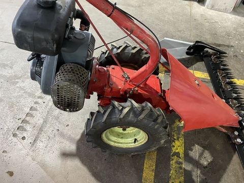 [3244-4281262-6.jpg]