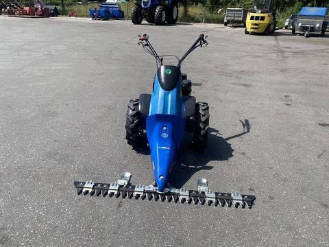 [3244-4402364-2.jpg]