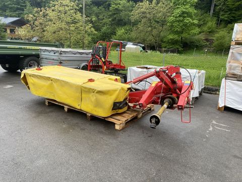 [3244-5651493-0.jpg]