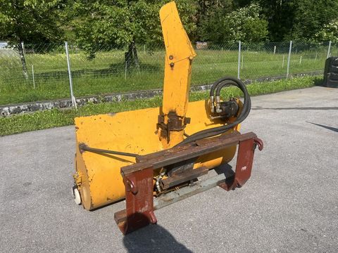 [3244-5766873-2.jpg]