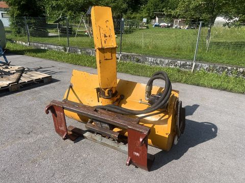 [3244-5766873-3.jpg]