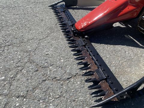 [3244-5993338-14.jpg]