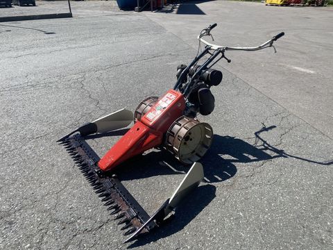 [3244-5993338-3.jpg]