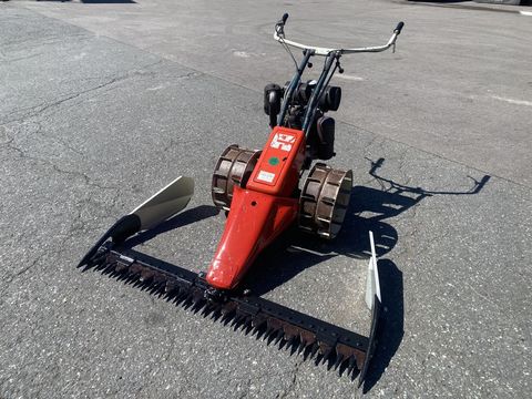 [3244-5993338-4.jpg]