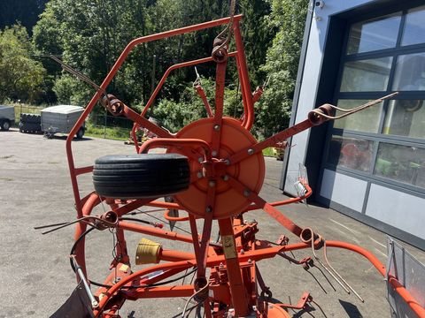 [3244-6013934-13.jpg]