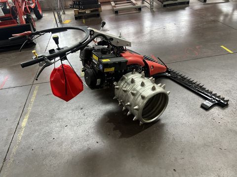 [3244-6104804-3.jpg]