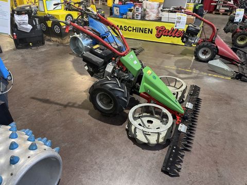 [3244-6300016-0.jpg]