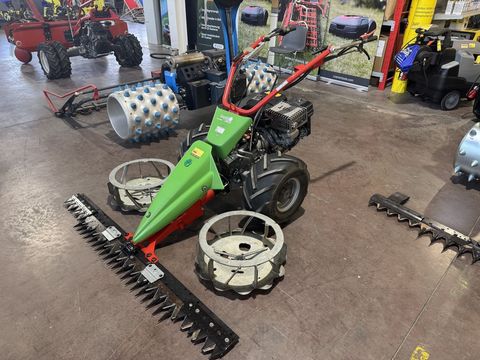 [3244-6300016-17.jpg]