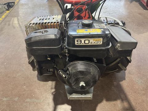 [3244-6300016-8.jpg]