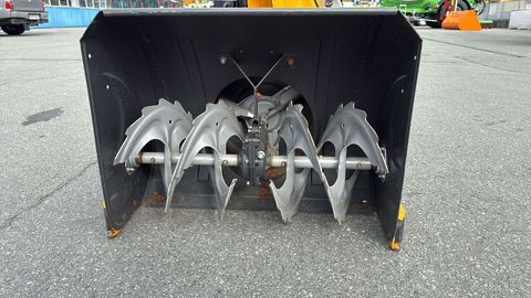 [3244-6333798-0.jpg]