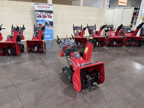 [3244-6338298-0.jpg]