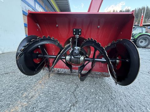 [3244-6482385-2.jpg]