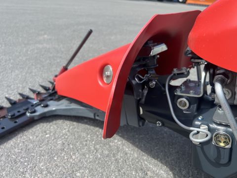 [3244-6484969-1.jpg]