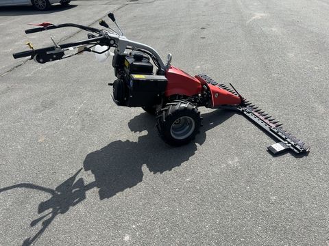 [3244-6484969-10.jpg]