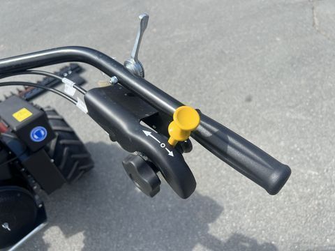 [3244-6484969-3.jpg]