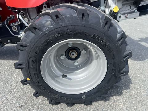 [3244-6484969-5.jpg]