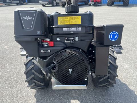 [3244-6484969-7.jpg]