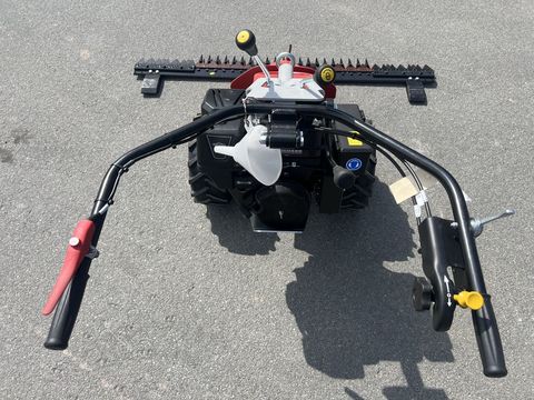 [3244-6484969-8.jpg]