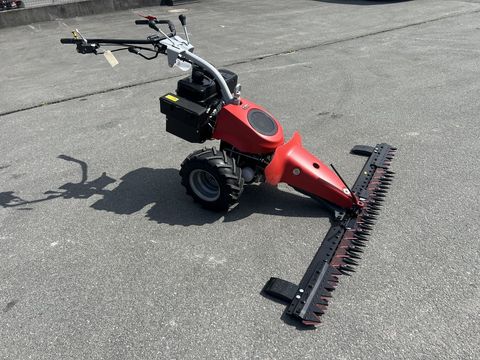 [3244-6484969-9.jpg]