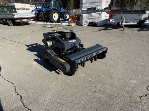 [3244-6655255-0.jpg]