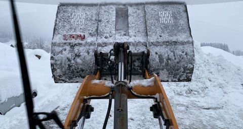 [3244-6664041-27.jpg]