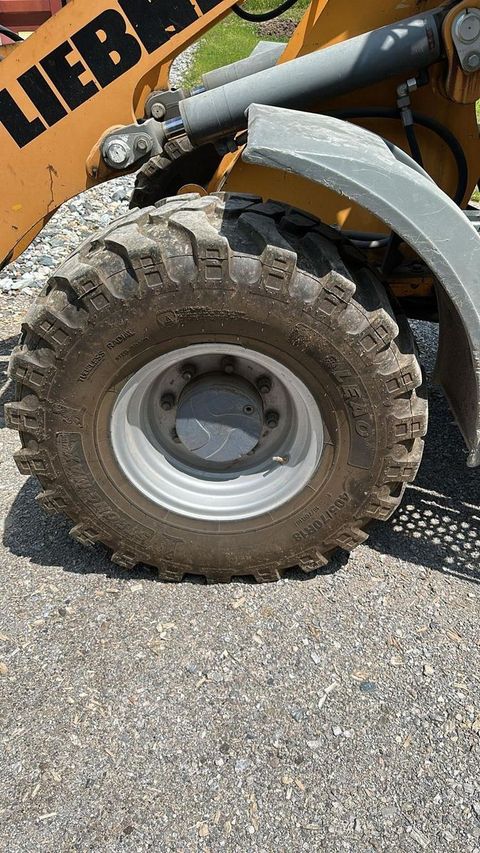 [3244-6664041-4.jpg]