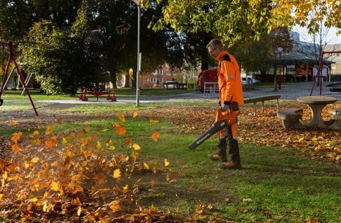 [3244-6899748-1.jpg]