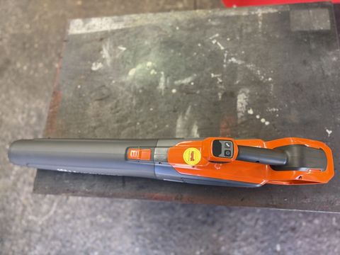 [3244-6899755-1.jpg]