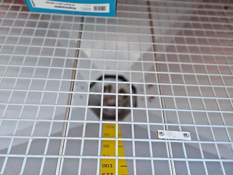 [3258-6625320-9.jpg]