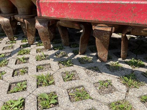 [3260-4766518-12.jpg]