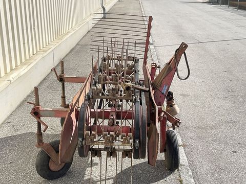 [3260-6284464-5.jpg]