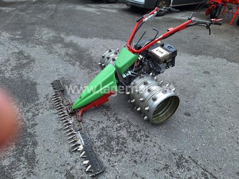 [3290-5638971-2.jpg]