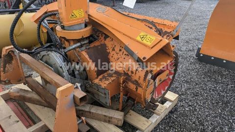 [3290-6492760-3.jpg]