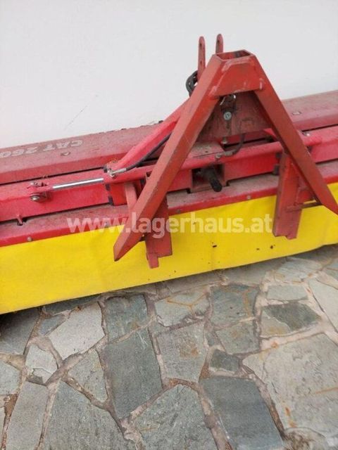 [3290-6495431-2.jpg]