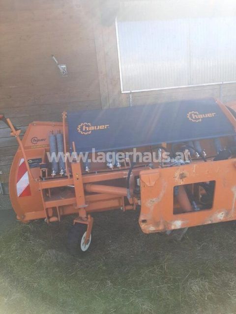 [3290-6495488-0.jpg]