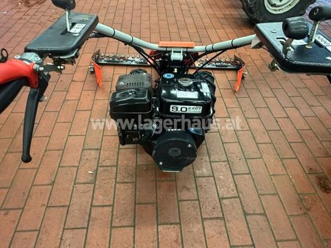 [3290-6496053-5.jpg]