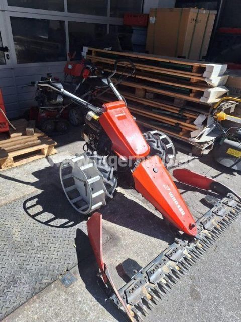 [3290-6496056-0.jpg]