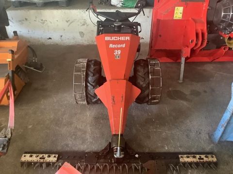 [3290-6496080-0.jpg]