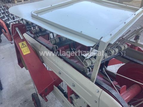 [3290-6496092-5.jpg]