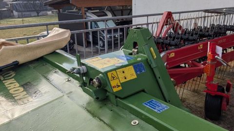 [3290-6538300-7.jpg]