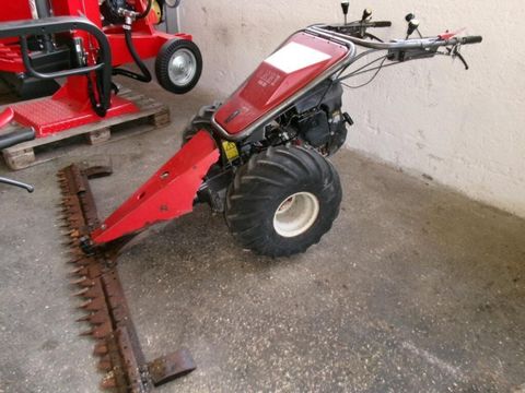 [3290-6875125-4.jpg]