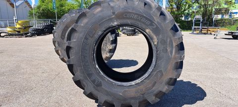 [3293-7018672-4.jpg]