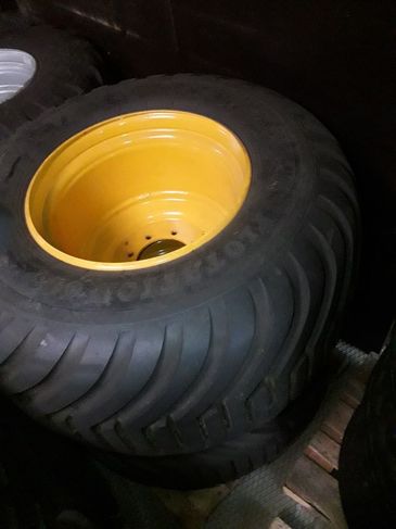 [3319-3025098-0_1.jpg]