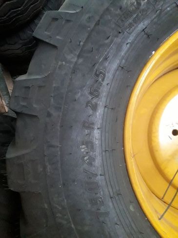 [3319-3025638-0_1.jpg]