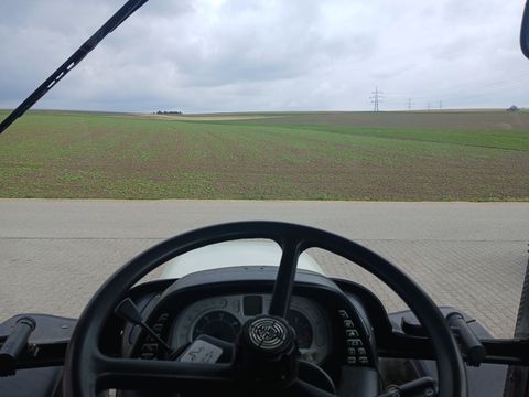 [3342-5335740-14.jpg]