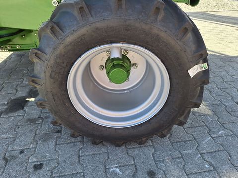 [3342-5563143-10.jpg]