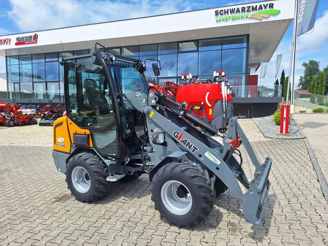 [3342-5701768-0_1.jpg]