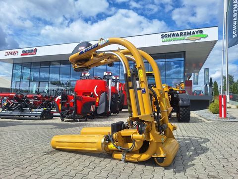 [3342-5760393-0.jpg]